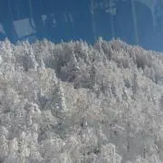 みら★の画像