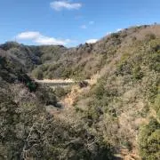 AYAnaの画像