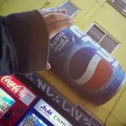 ぱとの画像