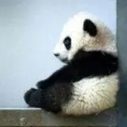 ちーず
