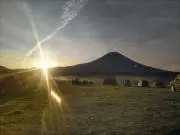 パタコさんの画像