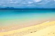 みつ156の画像