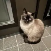 くうの画像