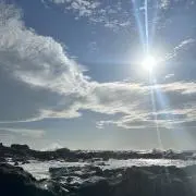 ちいっずの画像