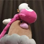 しりんの画像