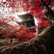 mana（まとめ買い値引きあり）の画像