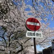 にょにょんの画像