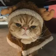xxmaipuxxの画像