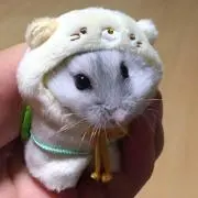 りょうの画像