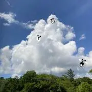 花模様☆花日和の画像