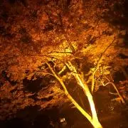 なの画像