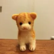 キンシーの画像