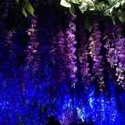 ゆう-即購入◎グッズ縮小中の画像