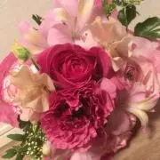 @みにおんの画像