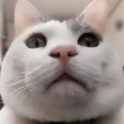 うぃ〜