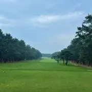 グリップ矯正クラブ[エリートグリップTrace Pro (ブラック)装着