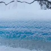 雪だるまの画像