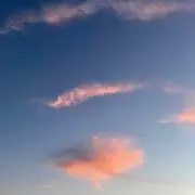 ぱく
