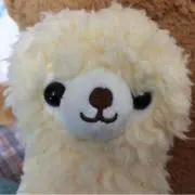 クローバー