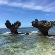 毎日値下げ中☆RYR