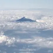 ふじの画像