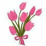 tulip ☆の画像