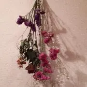 ちかこ
