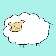 ズッキーニの画像
