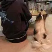 ユウヤ