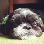 ソラの画像