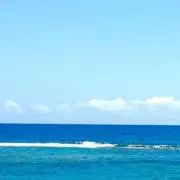 りょうの画像