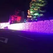 おむすび　格安販売します！