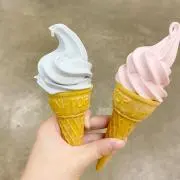 TYSTの画像