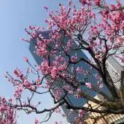 ダッフィープロフ必読の画像