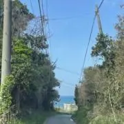 かなの画像