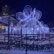 ぽん