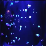 18の画像