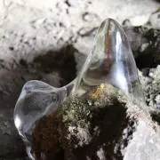 くろすけ