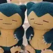 フランチェスカ（自己紹介文必読願います）の画像