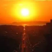 ぷーの画像