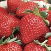 いちごの画像