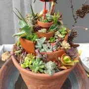 アツアツ