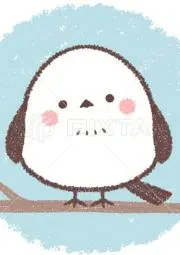 もっちの画像