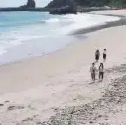 MK [プロフ必読]の画像