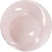 ฅ^•ω•^ฅの画像