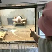 ゆづの父の画像