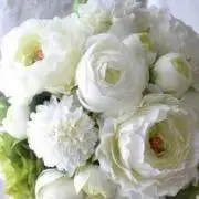 WhiteRiceの画像