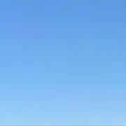 Rの画像
