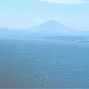 ゆき-の画像