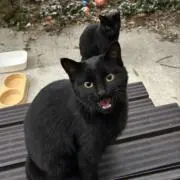 かずきちの画像
